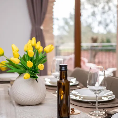 Modern Matuzzi By Istrabook Villa *